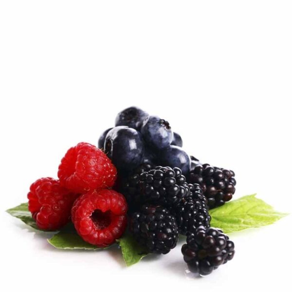 VOLTAGE CHAMPU HIDRATANTE NUTRITIVO 450 ML