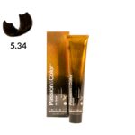 TINTE PASSION & COLOR N 5.34