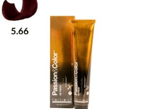 TINTE PASSION & COLOR N 5.66