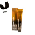 TINTE PASSION & COLOR N 6.07