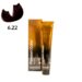 TINTE PASSION & COLOR N 6.22