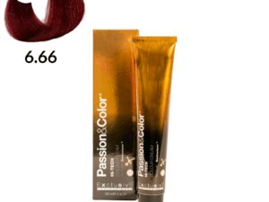TINTE PASSION & COLOR N 6.66