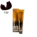 TINTE PASSION & COLOR N 7.22