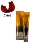 TINTE PASSION & COLOR N 7.666