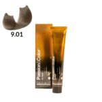 TINTE PASSION & COLOR N 9.01