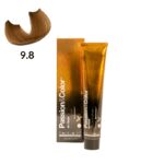 TINTE PASSION & COLOR N 9.8