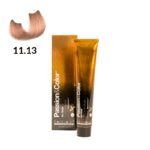 TINTE PASSION & COLOR N 11.13