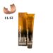 TINTE PASSION & COLOR N 11.13