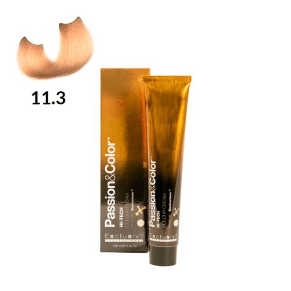 TINTE PASSION & COLOR N 11.3