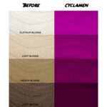 CRAZY COLOR Nº 41 CYCLAMEN
