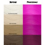 CRAZY COLOR Nº 42 PINKISSIMO