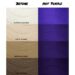 CRAZY COLOR Nº 62 HOT PURPLE