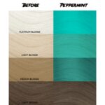 CRAZY COLOR Nº 71 PEPPERMINT