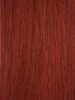 Extension Cortina 50-55cm 100Gr, pelo humano remy